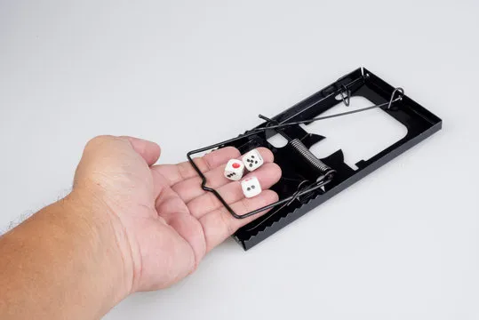 杏鑫娱乐 品牌形象